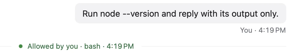 The chat after approval: the request, then a line reading Allowed by you, bash, 4:19 PM.